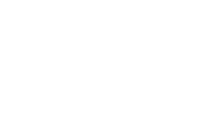 WP Automobile